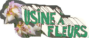 USINE A FLEURS
